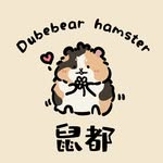 Dubebear-Taiwan 波利黃金鼠